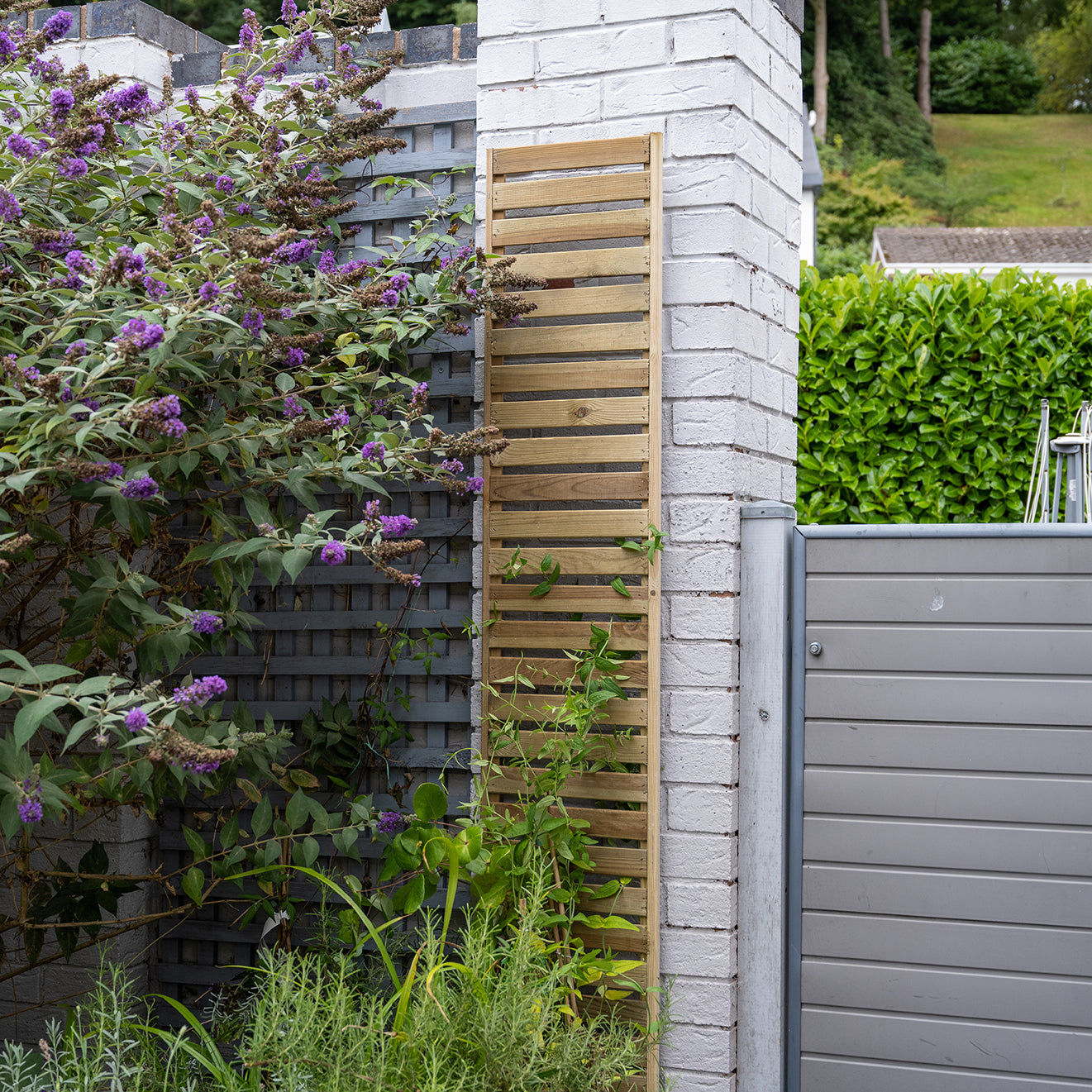 Forest Garden Slatted Trellis