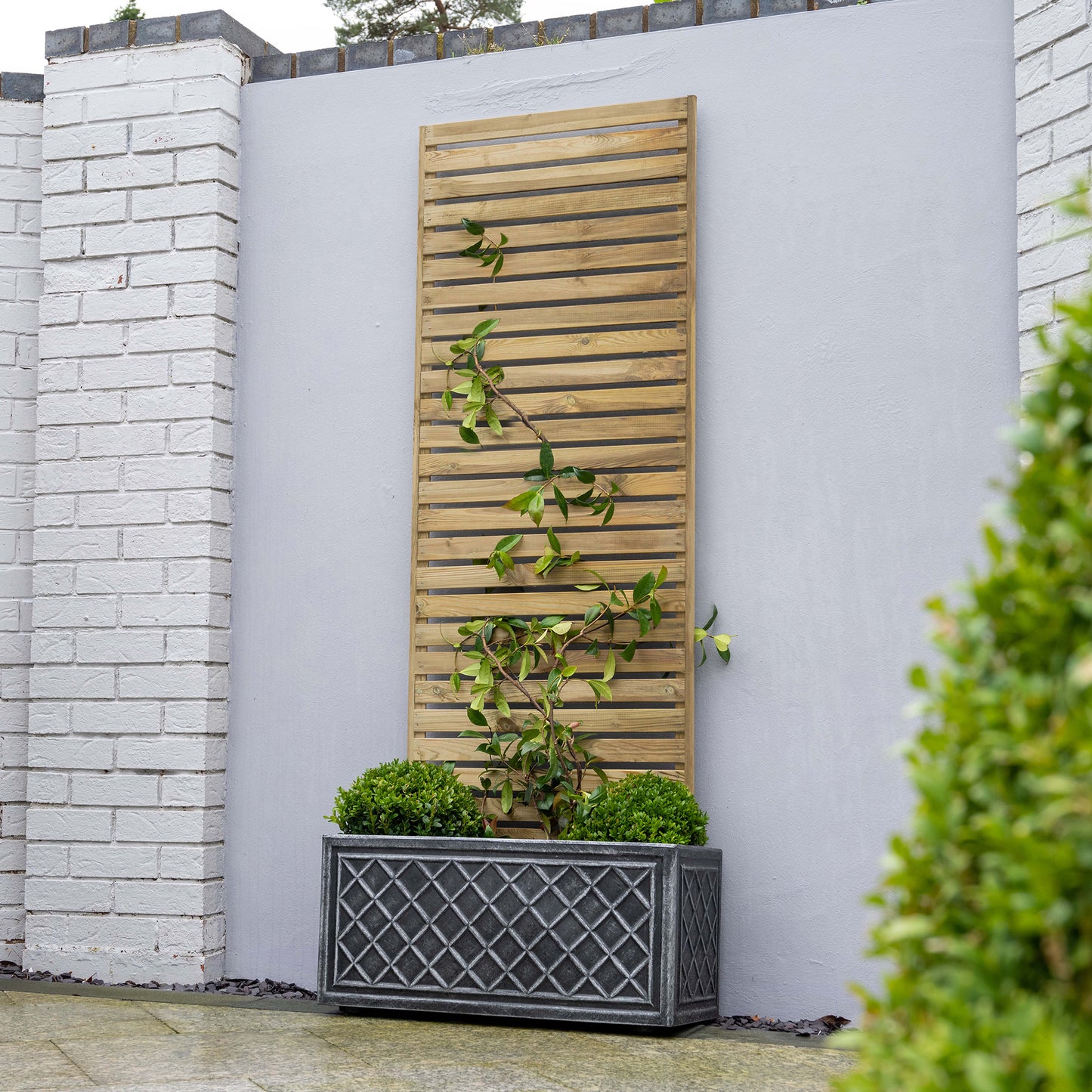 Forest Garden Slatted Trellis