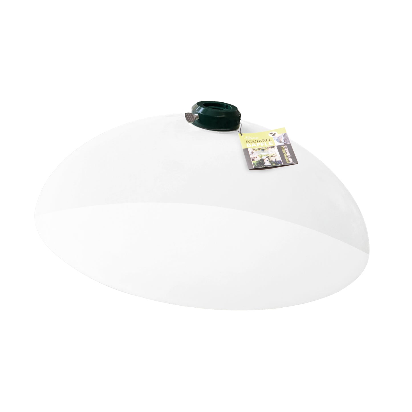 Tom Chambers Squirrel Baffle