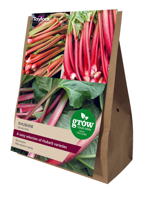 Taylors Bulbs Rhubarb Collection
