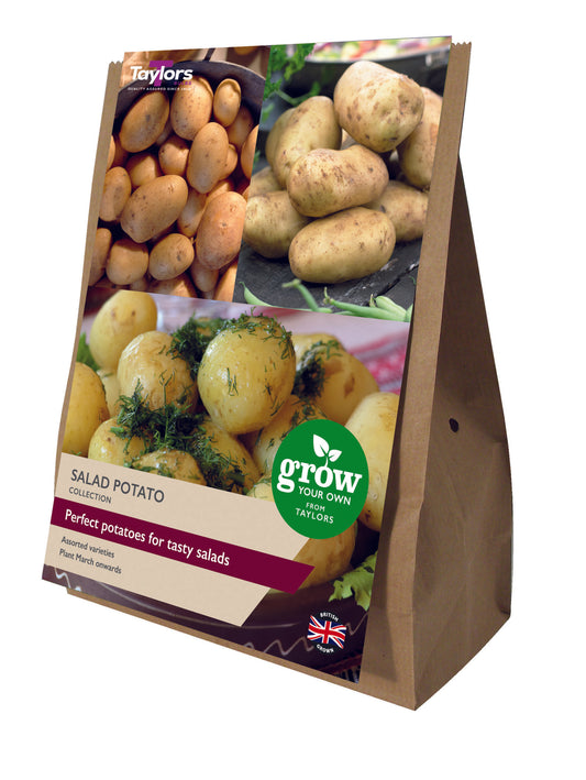 Taylors Bulbs Salad Potato Collection