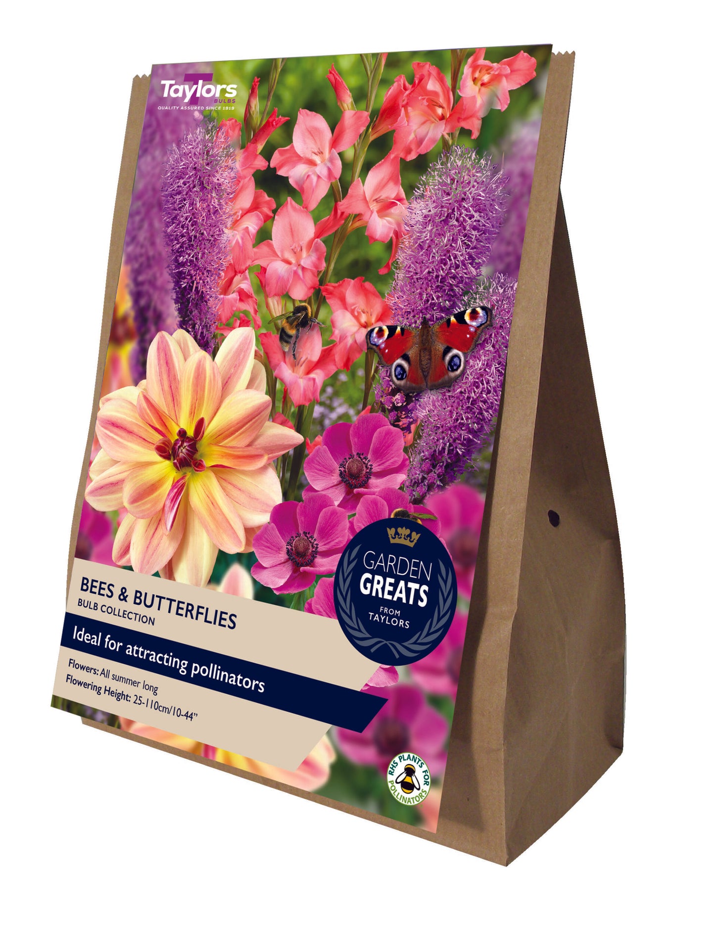 Taylors Bulbs Bees & Butterflies - Bulbs Collection