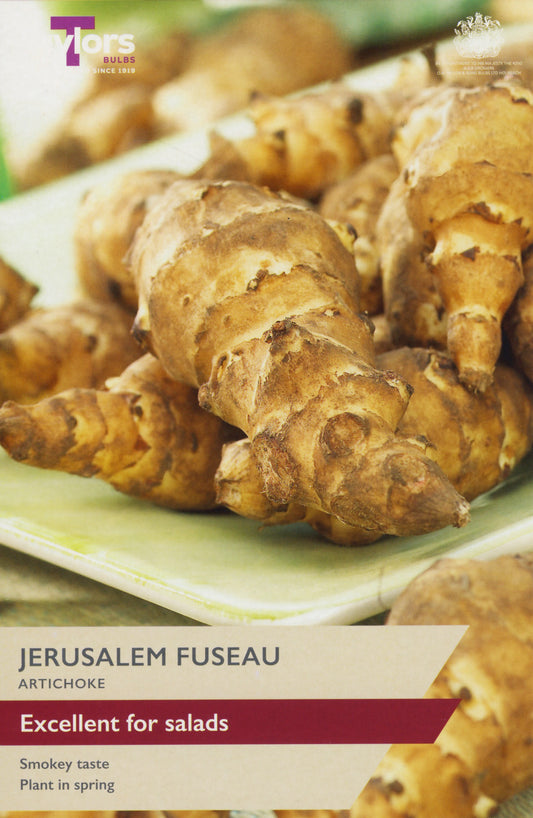 Taylors Bulbs Jerusalem Fuseau Artichioke (2-Pack)