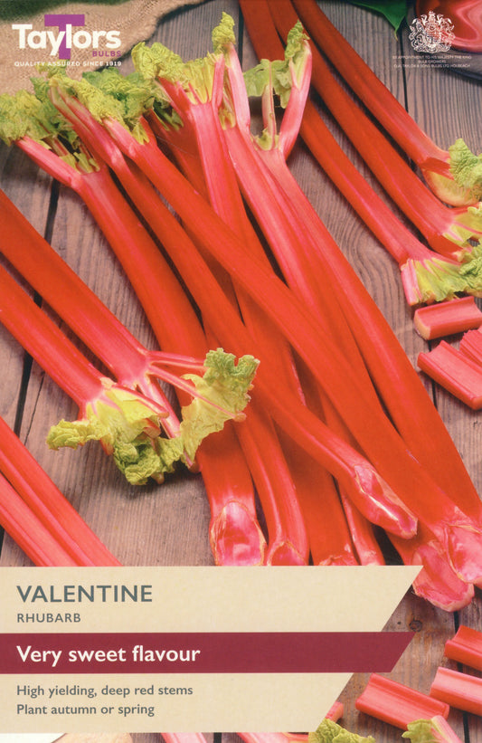 Taylors Bulbs Valentine Rhubarb
