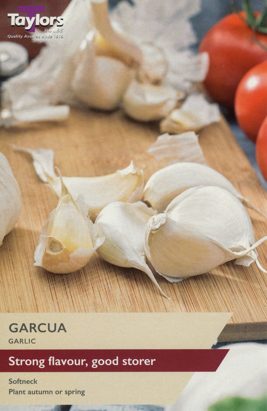 Taylors Bulbs Garcua Garlic Set