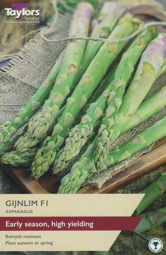 Taylors Bulbs Gijnlim F1 Asparagus Set