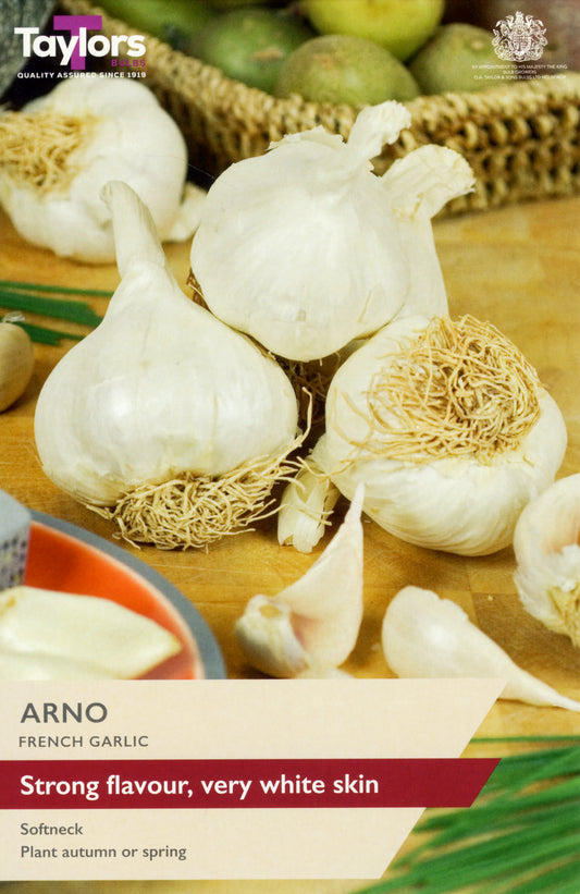 Taylors Bulbs Arno French Garlic (2-Bulbs)
