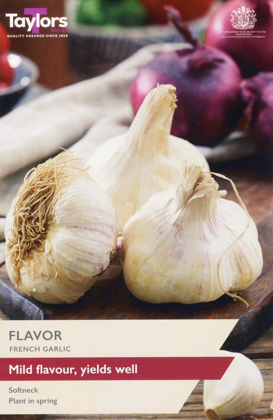 Taylors Bulbs Flavor French Garlic