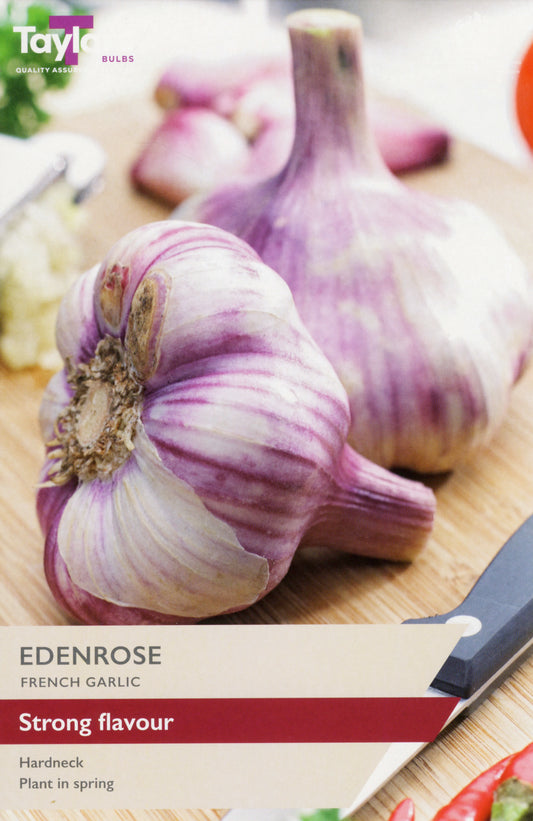 Taylors Bulbs Edenrose French Garlic