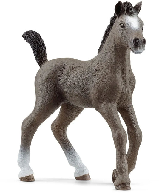 Schleich Cheval de Selle Francais Foal Figure 13957