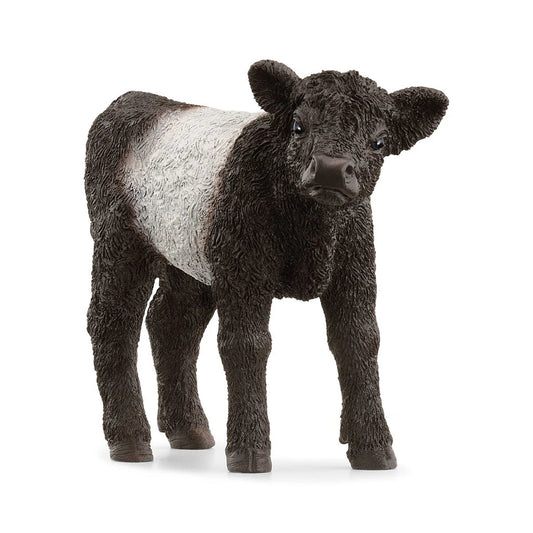 Schleich Galloway Calf Figure 13969