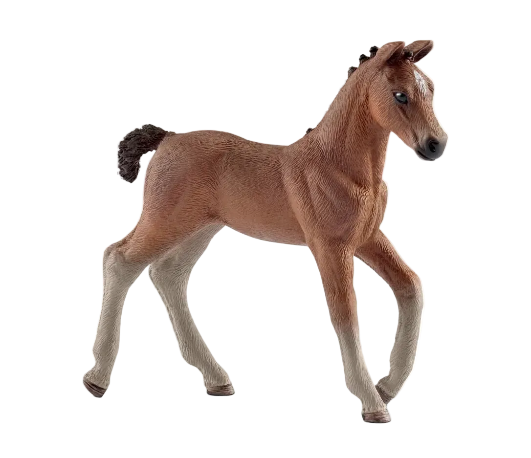 Schleich Hanoverian Foal Figure 13818