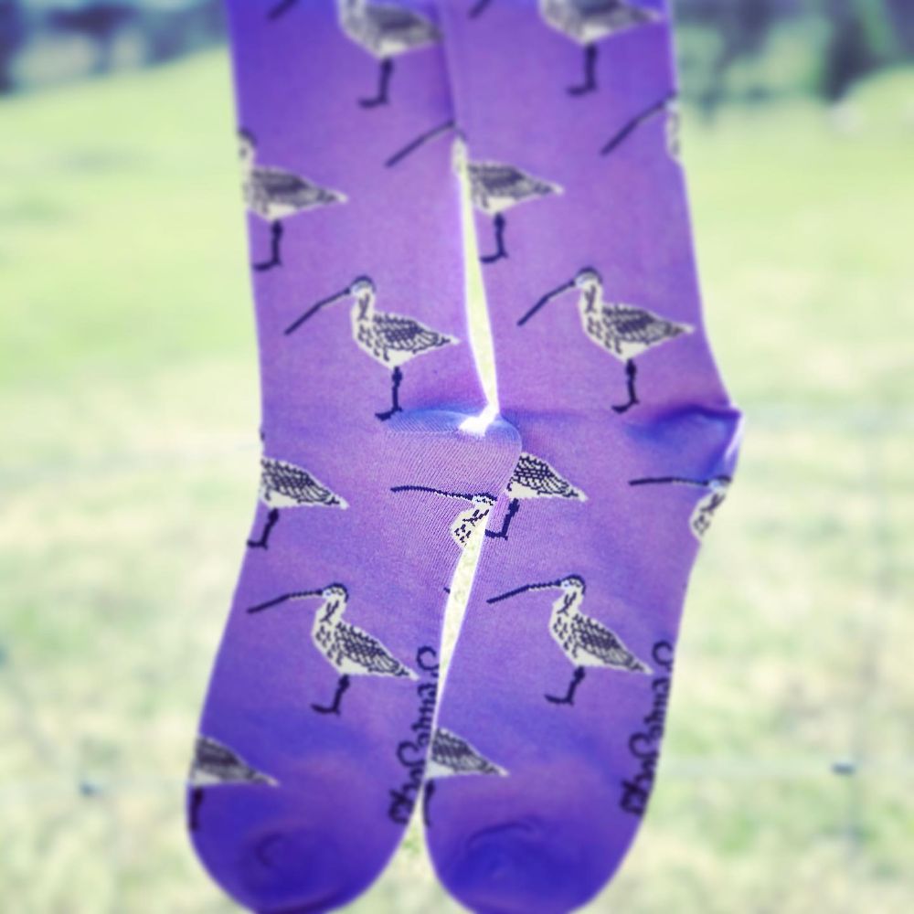 ShuttleSocks Womens Curlew Crew Socks