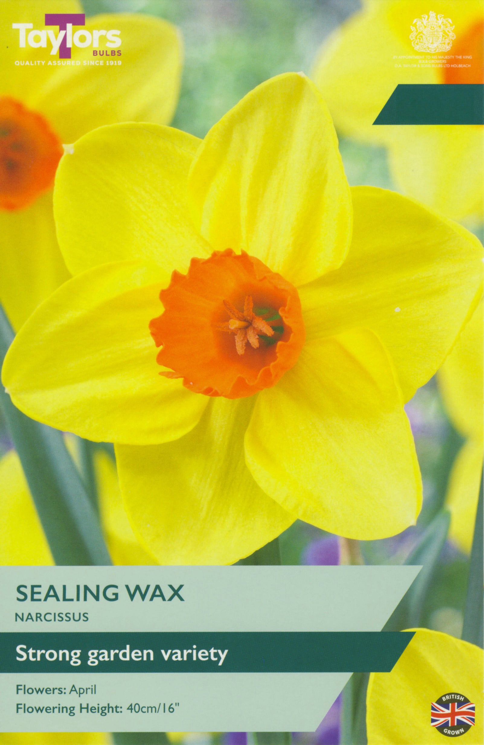 Narcissi Sealing Wax 