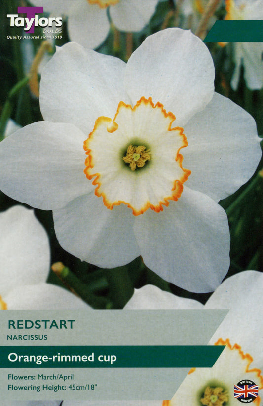 Taylors Bulbs Redstart Narcissus Tulips