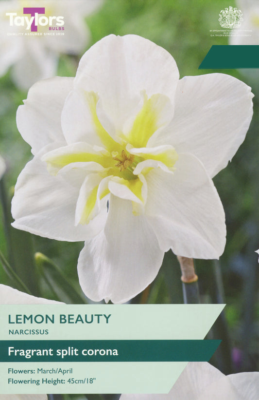 Taylors Bulbs Narcissi Lemon Beauty pack showing a close-up of a fragrant white daffodil with a distinctive split lemon-yellow star-shaped center.