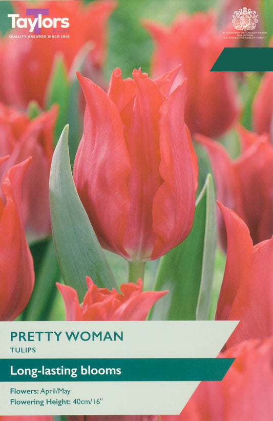 Taylors Bulbs Tulip Pretty Woman pack showing a close-up of vivid red lily-flowered tulips with elegant pointed petals on sturdy green stems.