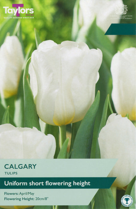 Pre Packs Tulip Calgary 11-12 