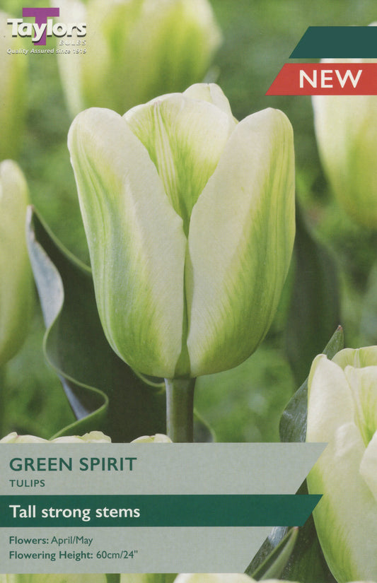 Taylors Bulbs Green Spirit Tulip Pre-Pack