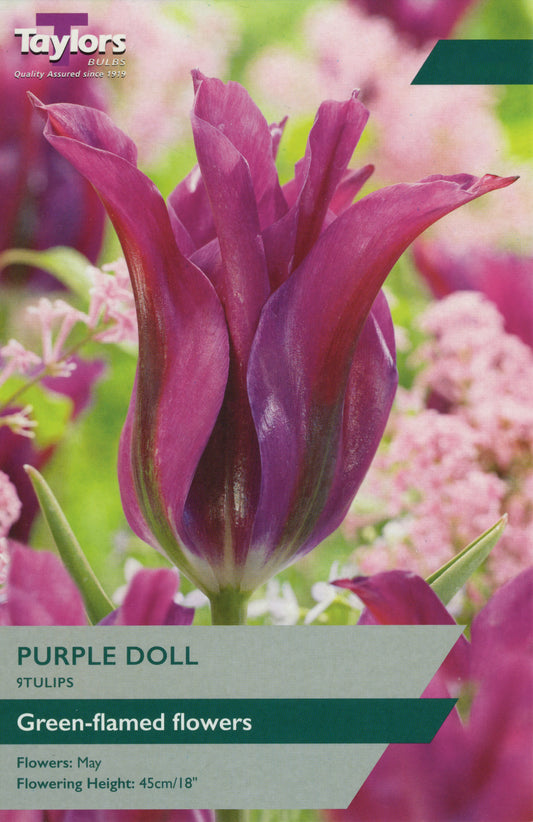Taylors Bulbs Purple Doll Tulips 9-Pack