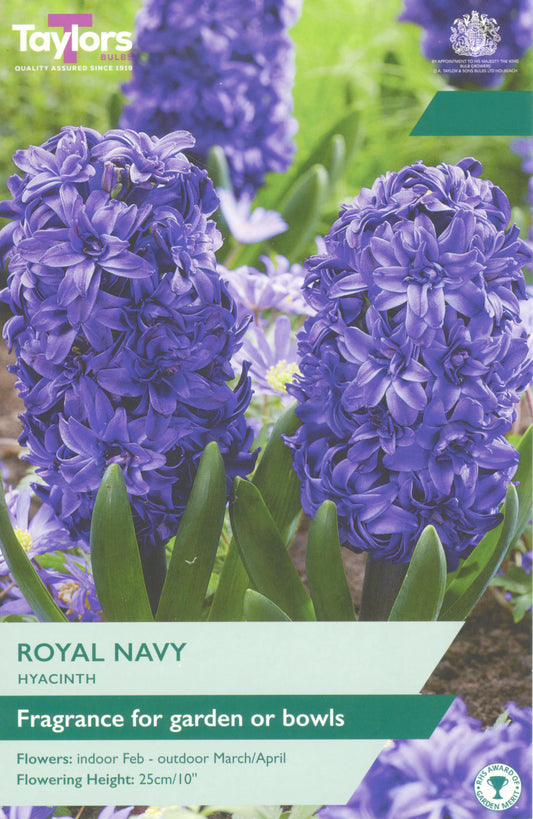 Hyacinth Royal Navy