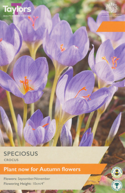 Speciosus