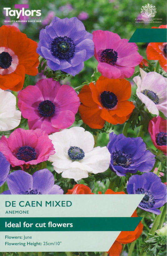 Taylors Bulbs De Caen Mixed Anemone