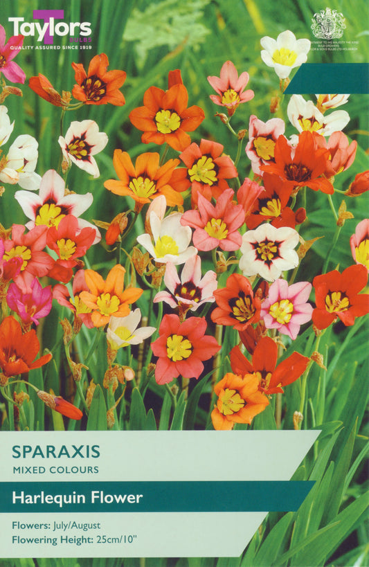 Taylors Bulbs Mixed Colours Sparaxis retail pack showing a dense, vibrant display of multi-coloured Harlequin Flowers with striking yellow and black centers.