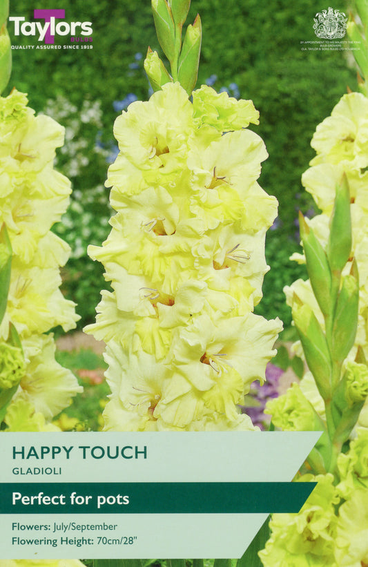 Taylors Bulbs Happy Touch Gladioli