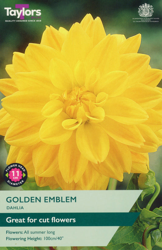 Taylors Bulbs Golden Emblem Dahlia