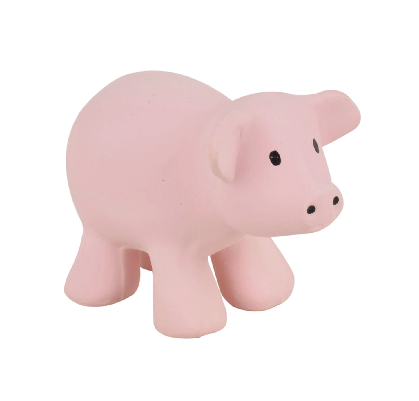 Tikiri Natural Rubber Rattle & Bath Toy