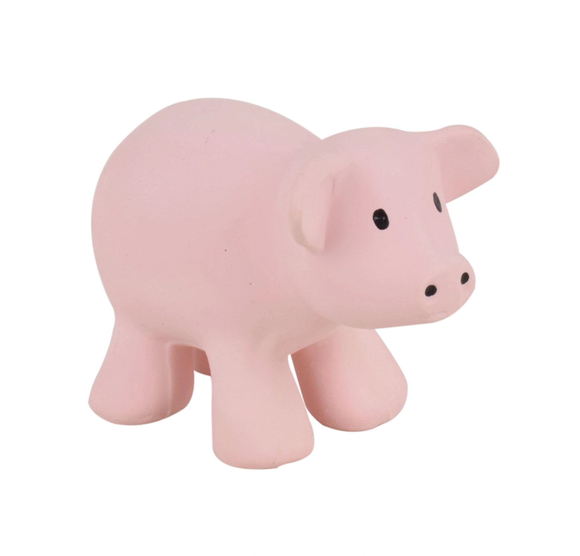 Tikiri Natural Rubber Rattle & Bath Toy