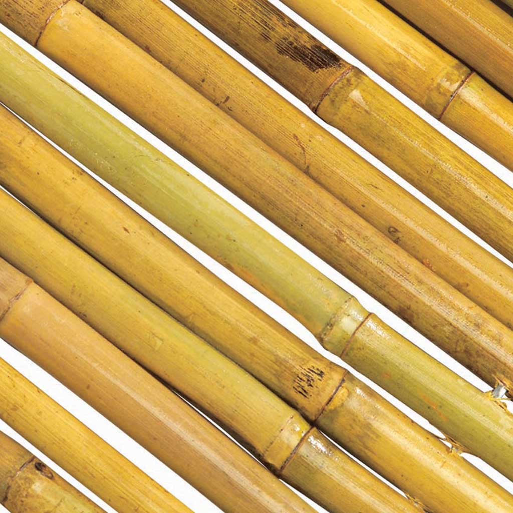 Tildenet Bamboo Garden Canes