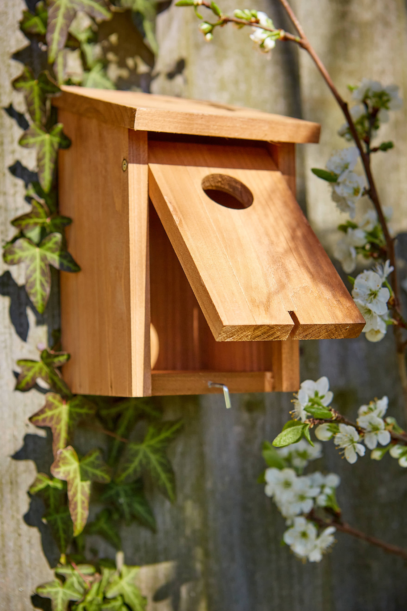 Tom Chambers Abbey Nest Box