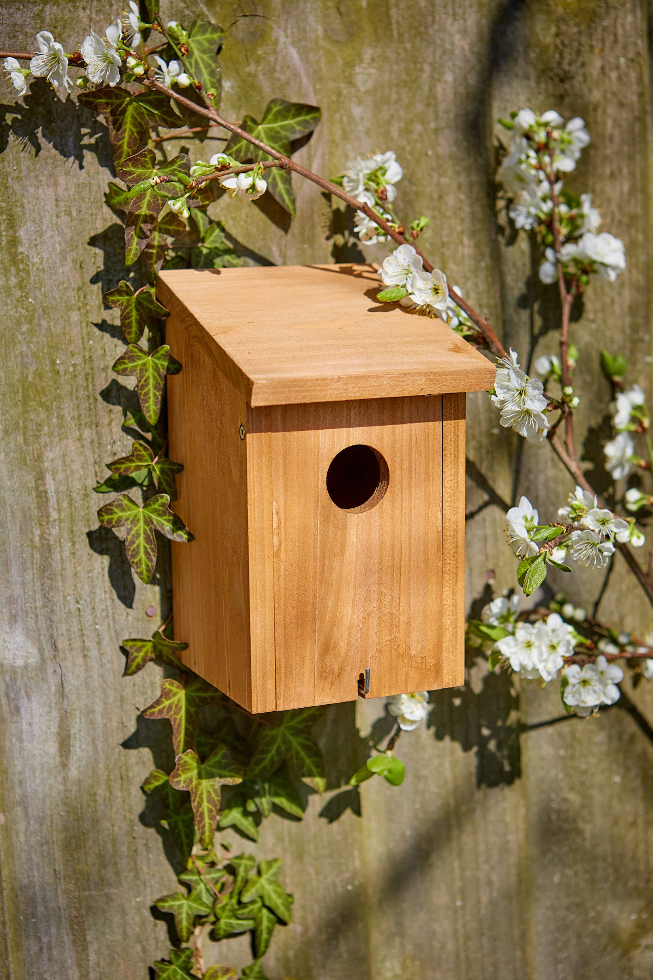 Tom Chambers Abbey Nest Box