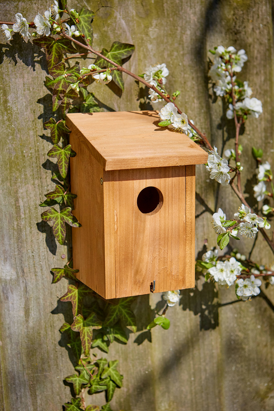 Tom Chambers Abbey Nest Box