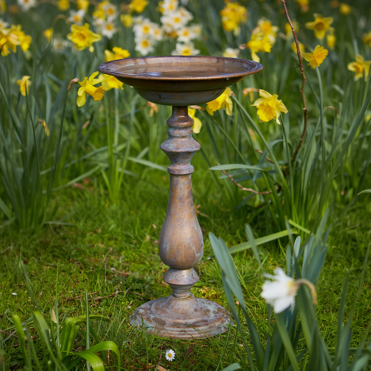 Tom Chambers Cascade Bird Bath in a verdigris finish standing in a garden surrounded by yellow daffodils.