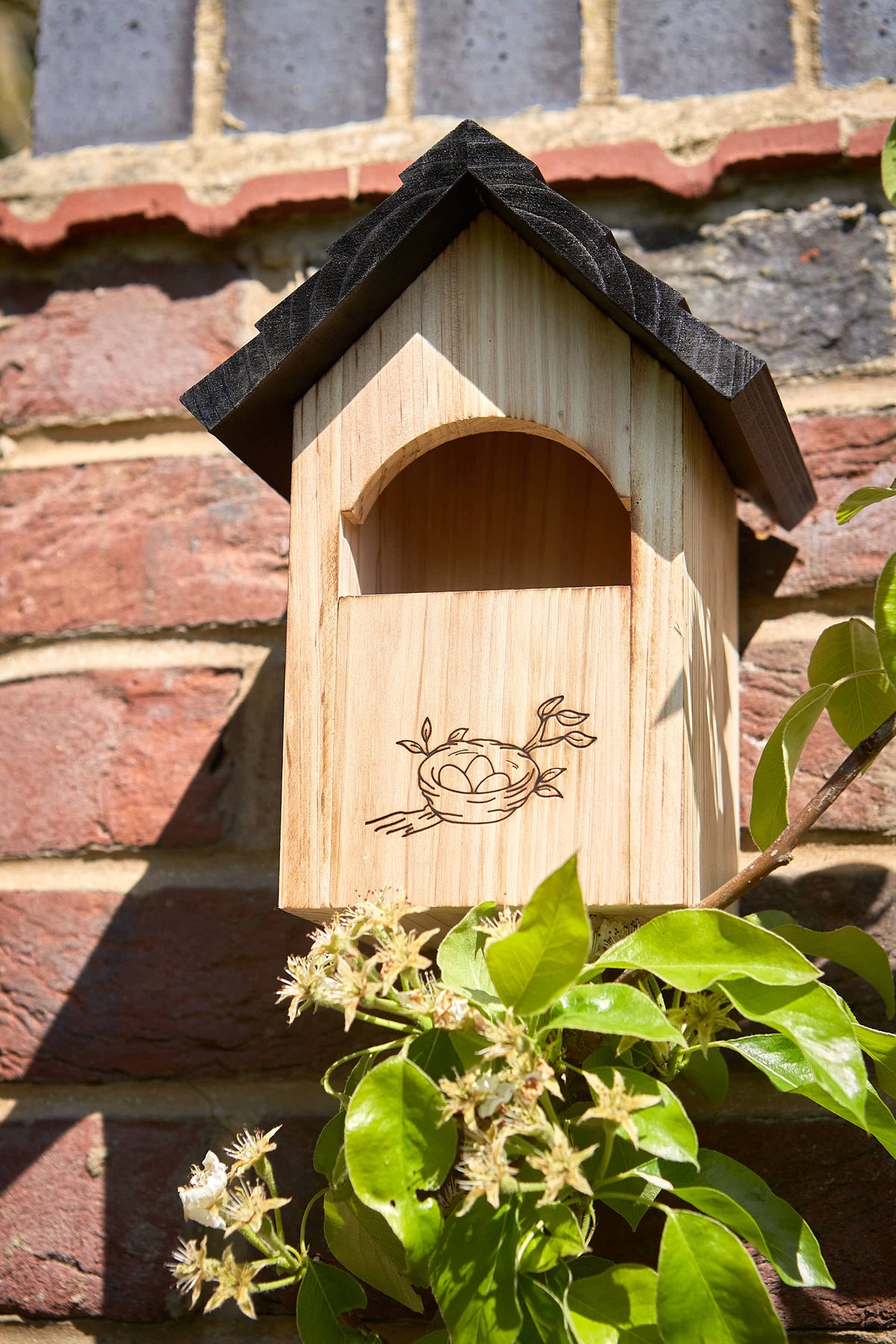 Tom Chambers Haven Open Front Nest Box with engraved nest illustration mounted on a brick wall among green leaves.