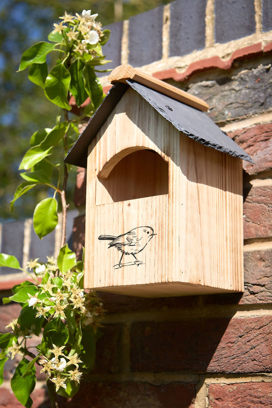 Tom Chambers Hideaway Open Front Nest Box with slate roof mounted on a brick wall beside green foliage.