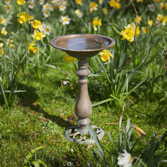 Tom Chambers Laguna Bird Bath with a verdigris finish and cast iron base surrounded by yellow daffodils.
