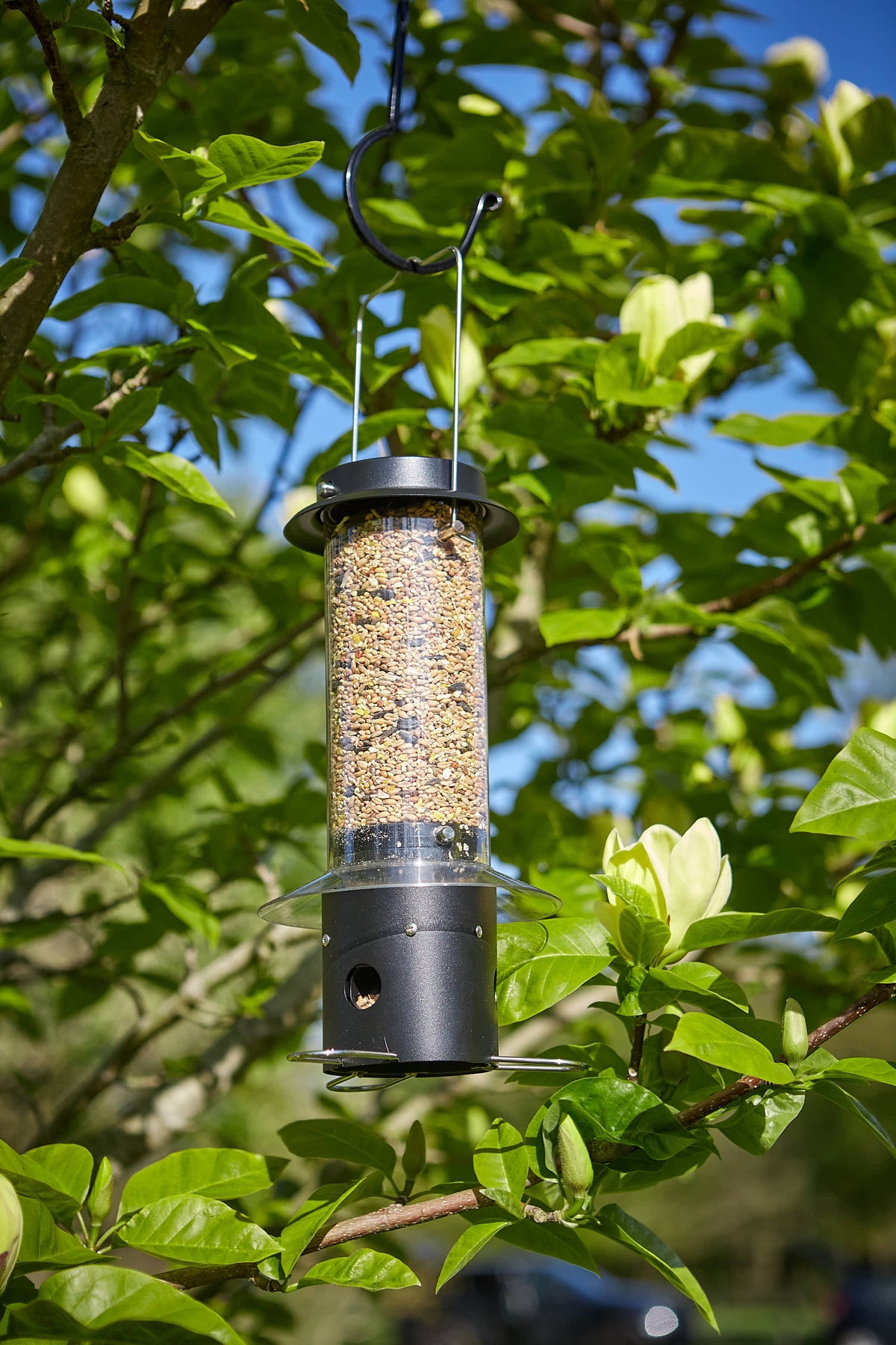 Tom Chambers Mini Squirrel Stop Seed Feeder filled with seed mix hanging from a tree branch.