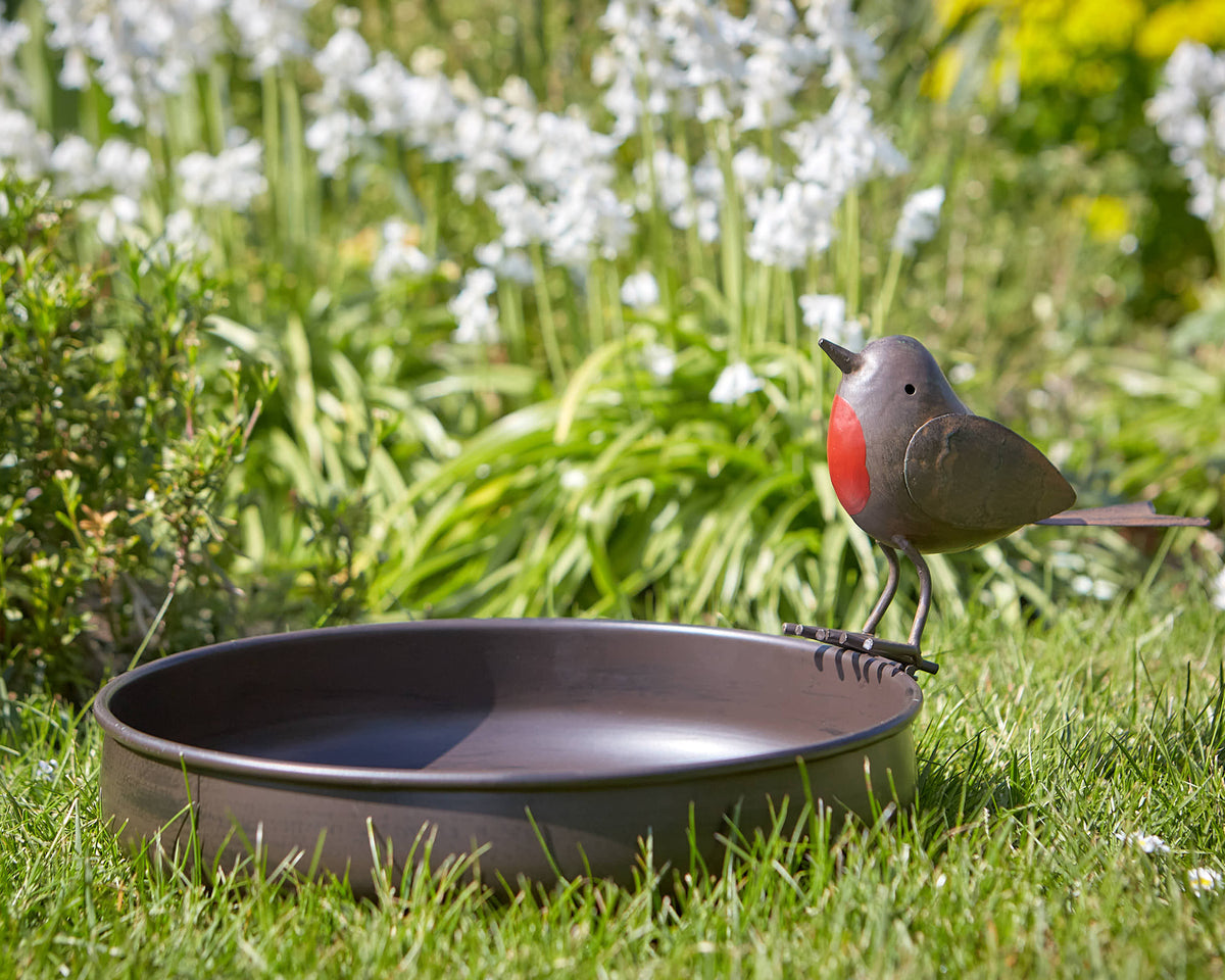 Tom Chambers Robin Ground Bird Bath with decorative robin motif sitting on a green garden lawn.