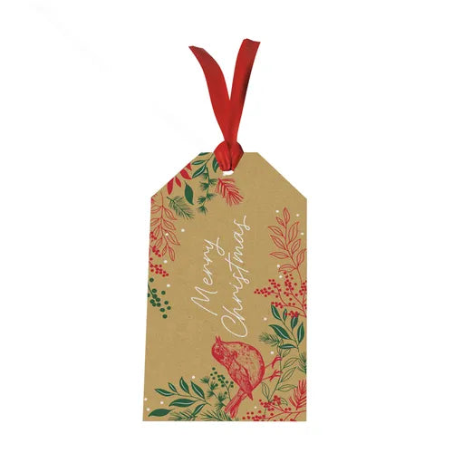 Tom Smith pack of 6 Red Robin luxury Christmas gift tags pre-strung with red ribbon on kraft paper background