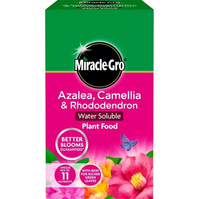 Miracle-Gro Azalea, Camellia & Rhododendron Soluble Plant Food