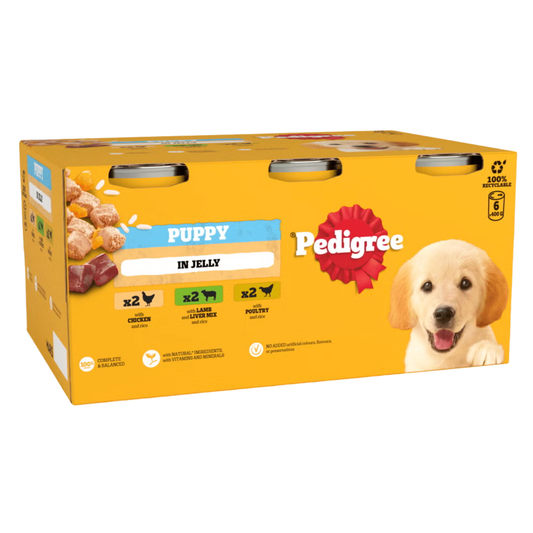 Pedigree Junior Puppy Wet Dog Food Mixed Selection in Jelly 6 x 400g Can