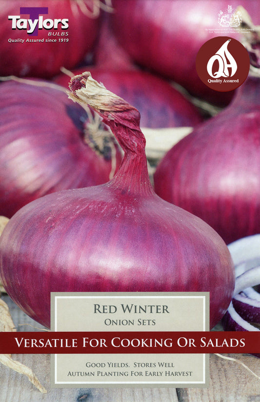 Red Winter Onion Pre-Pack