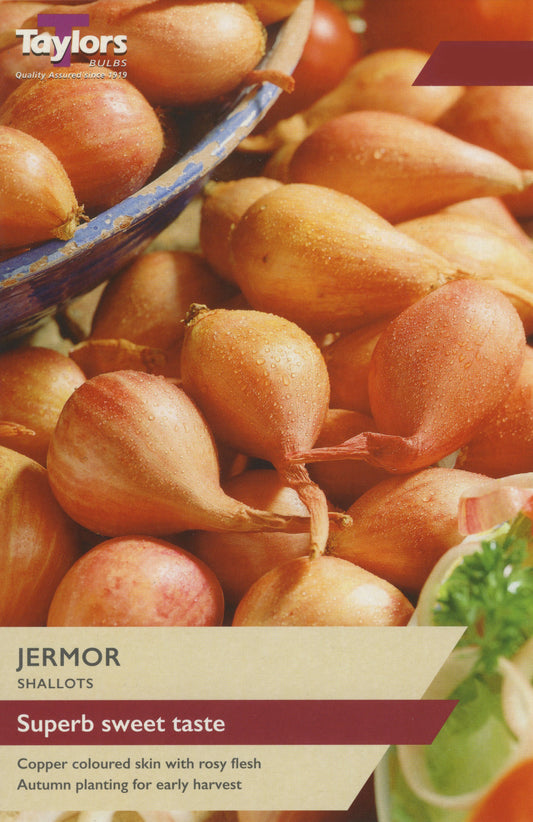 Taylors Bulbs Vermor Shallots