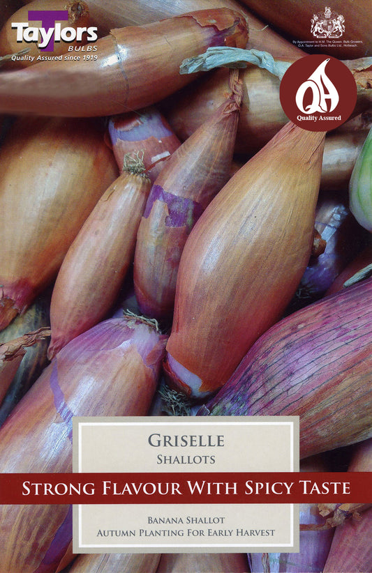 Griselle Shallots Pre-Pack