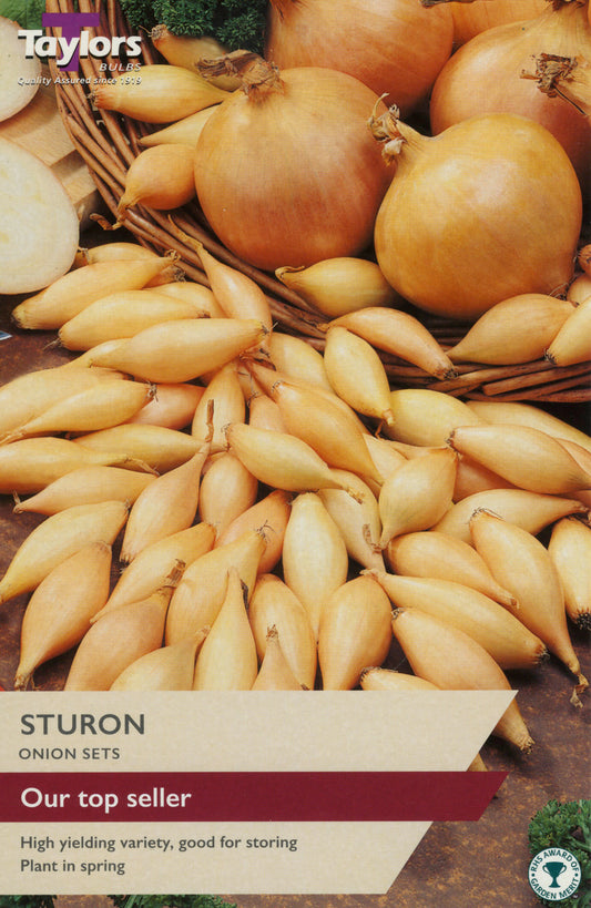 Taylors Bulbs Sturon Onion Set