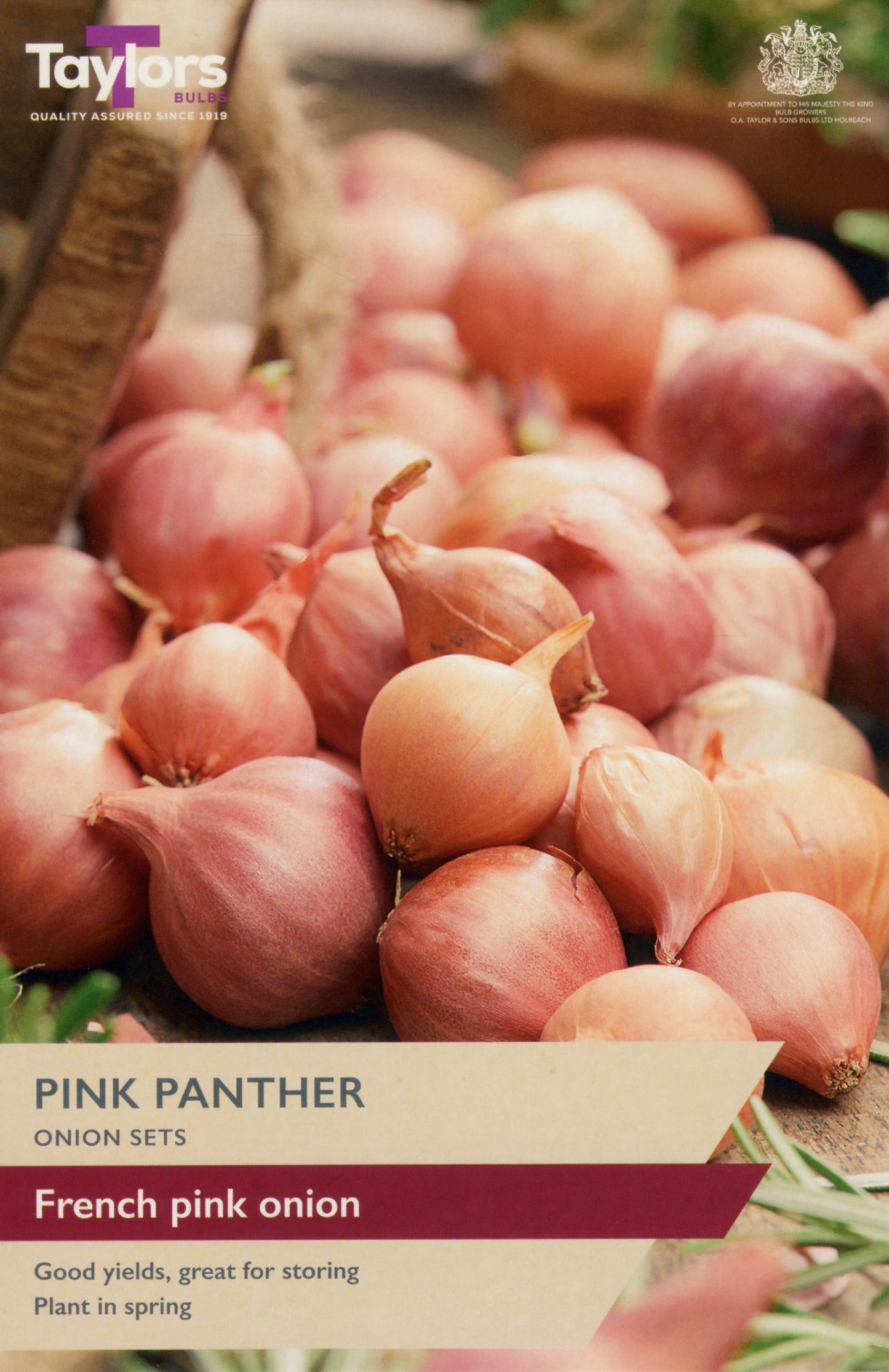 Taylors Bulbs Pink Panther Onion Sets